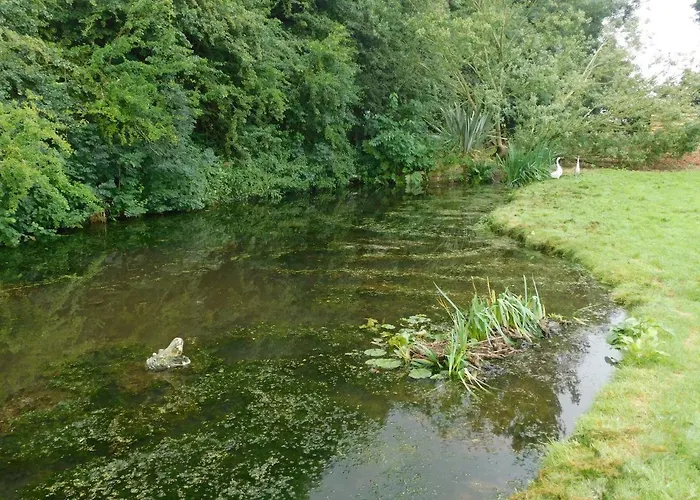 Squirrel At Owlet Hideaway - With Hot Tub, Near * York